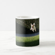 Flying Jack Russell Mug mugs
