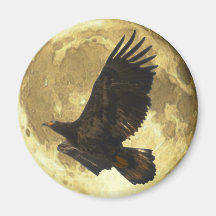 Flying Juvenile EAGLE & FULL MOON Wildlife Magnet