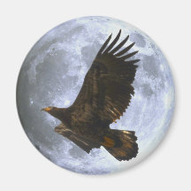 Flying Juvenile EAGLE & FULL MOON Wildlife Magnet
