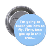 Flying Lessons Pin