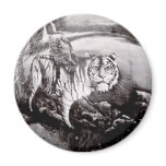 Flying Liger magnets