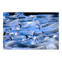 Flying Low posters by SweetRascal Flying Low posters