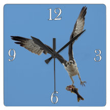 Flying Osprey & Fish 2 Wildlife Photography Wall Clocks