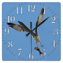 Flying Osprey & Fish 2 Wildlife Photography Wall Clock