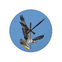 Flying Osprey & Fish Wildlife Photography Round Clocks