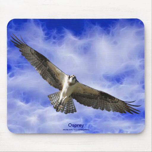 Flying Osprey & Fractal Clouds Photo Art Mousepad