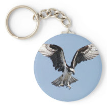 Flying Osprey Keychains