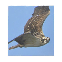 Flying Osprey Notepad