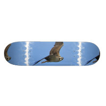 Flying Osprey Skateboard