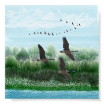 Flying Over the Willows posters