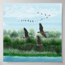 Flying Over the Willows Poster