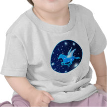 Flying Pegasus T Shirts
