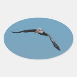 Flying Pelican 12 Sticker