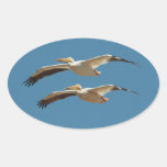 Flying Pelican 3 Sticker