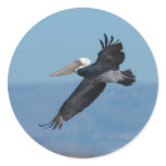 Flying Pelican 9 Sticker