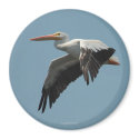 Flying Pelican Magnet 5 magnet