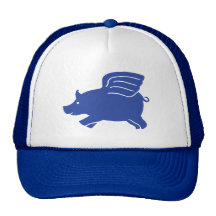 Flying Pig Hat - Blue