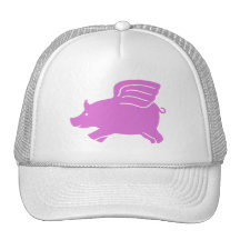 Flying Pig Hat -  Pink
