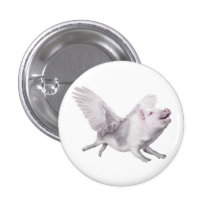 Flying Pig Miracles Happen When Pigs Fly Button