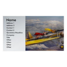 Flying Pig - Plane -The joy ride Business Card Template