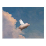 flying pig postcard postcards