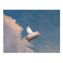 flying pig postcard
