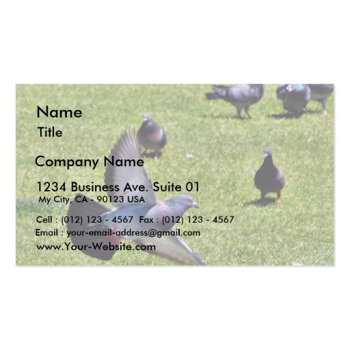 Flying Pigeon Business Cards (front side)