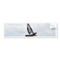 Flying Pigeon On Sky Bumper Stickers