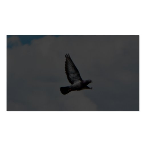 Flying Pigeon On Sky Business Card Templates (back side)