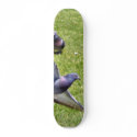 Flying Pigeon skateboards by lifesphere Flying Pigeon skateboards