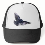 Flying Raven Mesh Hats