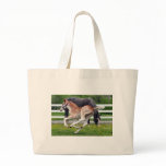 Flying Red Roan bags