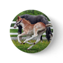 Flying Red Roan Buttons
