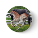 Flying Red Roan buttons