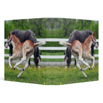 Flying Red Roan Colt Binder