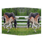 Flying Red Roan Colt Binder
