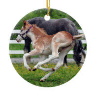 Flying Red Roan Colt Christmas Tree Ornaments