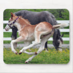 Flying Red Roan Colt Mousepad