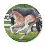 Flying Red Roan Refrigerator Magnets