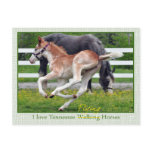 Flying Red Roan Postcards