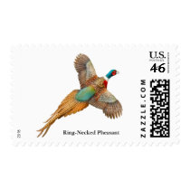 Flying Ring Necked Pheasant Postage