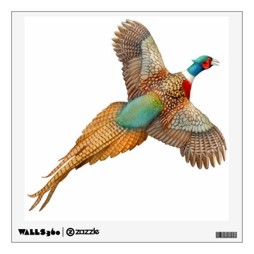 how to a pheasant pheasant flying drawing www imgkid the image kid has it how to a pheasant pheasant flying drawing www imgkid the image kid has it