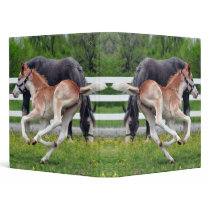 Flying Roan Binder