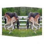 Flying Roan Binder