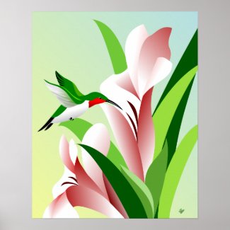 Flying Ruby Throated Male Hummingbird Poster