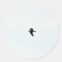 Flying Seagull High Round Sticker