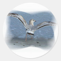 Flying seagull posterized round stickers