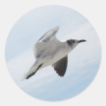 Flying Seagull Sticker