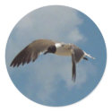 Flying Seagull Stickers by Captain_Panama Flying Seagull Stickers