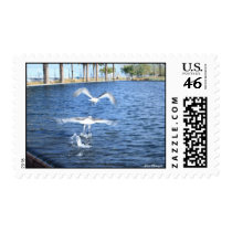 Flying Seagulls Stamps